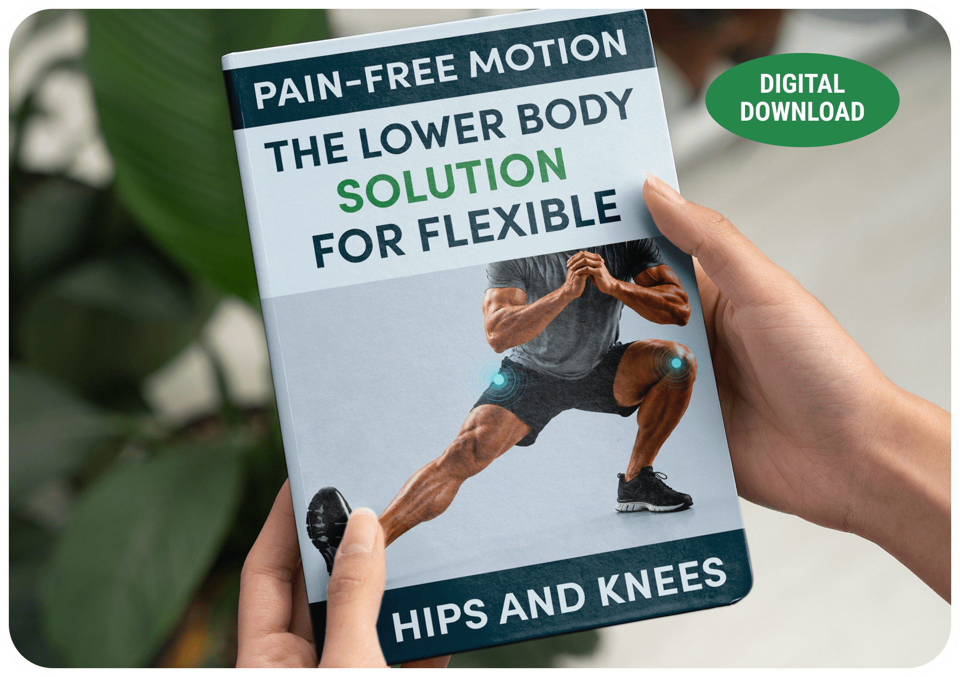 Pain-Free Motion digital bonus guide